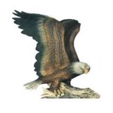 Burns Brooks & Mc Neil - Insurance in Torrington