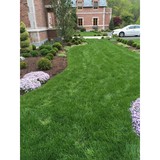 Turning Green - Lawn Services in Norwalk