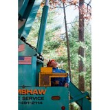 Grimshaw Tree Service & Nursery CO - Tree Services in Glastonbury