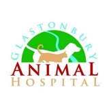 Marsh Barry H DVM - Other in Glastonbury