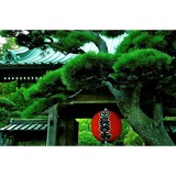 Pacific Experience - Travel Agents in Greenwich