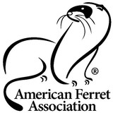 Ferret Group - Marketing in Westport