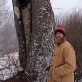 Andrew's Arboriculture LLC - Other in Naugatuck