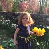 Everything Botanical llc - Landscaping in Washington