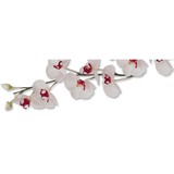 Linda Pinto LLC - Other in Trumbull