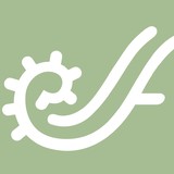 Endangered Language Fund Inc - Business Consulting in New Haven