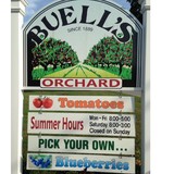 Buell's Orchard - Other in Eastford
