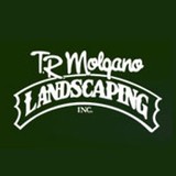 Molgano Landscaping - Landscape Architects in Stamford