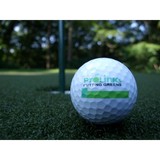 Prolinks Putting Greens - Other in Wilton