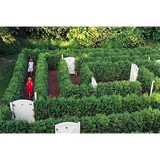 Environmental Site Developers - Landscape Architects in Ridgefield