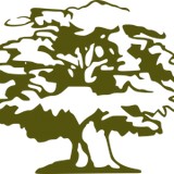 Woodland TreeWorks LLC - Tree Services in Orange