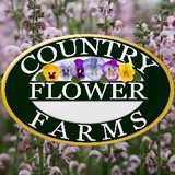 Country Flower Farms - Other in Middlefield