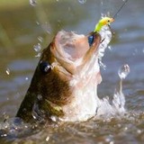 Connecticut Outfitters - Other in Wethersfield