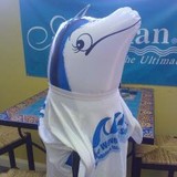 Blue Wave Pool Service & Supplies - Other in Hamden