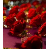 GaryZ of Stamford - Florists in Stamford