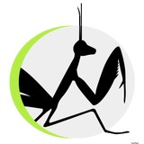 Mantis Webdev LLC - Web Design & Development in West Hartford