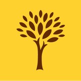 Dst Health Solutions Inc - Other in Wallingford