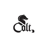 Colt Defense Holding LLC - Other in West Hartford