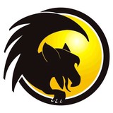 Riley Racing - Other in Wilton