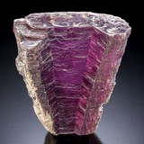 Lithographie LLC - Other in East Hampton