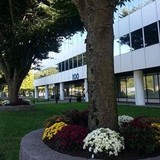 Plaza Executive Suites - Other in Danbury