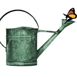 M & M Garden Designs, LLC - Landscape Architects in Madison