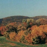 Hamden Arts Commission - Other in Hamden