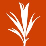 Development Seed Inc - Home Developers in Washington