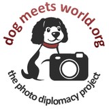 Dog Meets World Inc - Commercial Photography in Washington