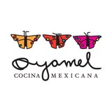 Oyamel Dcllc - Chiropractors in Washington