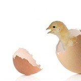 Fieldtocity - Grocery/Supermarket in Washington