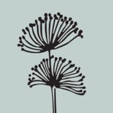 The Enchanted Garden - Landscape Architects in Washington