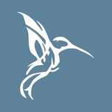 Asomani Kwame M DDS - Dentists in Washington