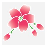 Obholz Yelena DDS - Dentists in Washington