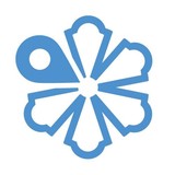 Snowflake Software Inc - Software Development in Washington