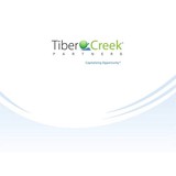Tiber Creek Partners LLC - Business Consulting in Washington