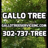 Gallo Tree & Lot Service - Other in Hockessin