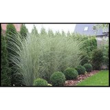 Martins Landscaping - Landscaping in Wilmington