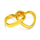 Shaadi Karoge Inc - Social Services in Wilmington