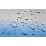 Shore Window Cleaning Inc - Window Cleaning in Milton