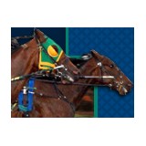 Harrington Raceway Inc - Other in Harrington