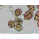 Sussex Environmental Health - Business Consulting in Lewes