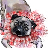 Ara Illustrated Inc