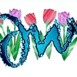 D W Designs