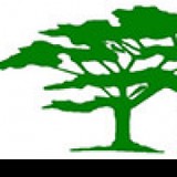 Tree Inc - Tree Services in Newark