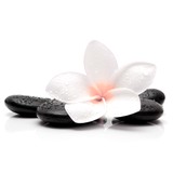 Pike Creek Reiki & Healing Arts Center - Alternative Medicine in Newark