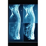 Francis Optimal Performance - Chiropractors in Wilmington