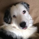 Cad Render - Graphic Design in Wilmington