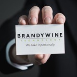 Brandywine Technology - Business Consulting in Wilmington
