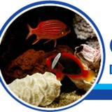 Seascape Designs - Manufacturer in Wilmington